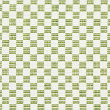 Load image into Gallery viewer, SCHUMACHER ELKHART FABRIC 76744 / LEAF