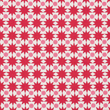 Load image into Gallery viewer, Pair of Custom Made Schumacher Cosmos Pillow Covers - Both Sides