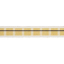 Load image into Gallery viewer, Schumacher Calcada Tape Medium Trim 79206 / Maize
