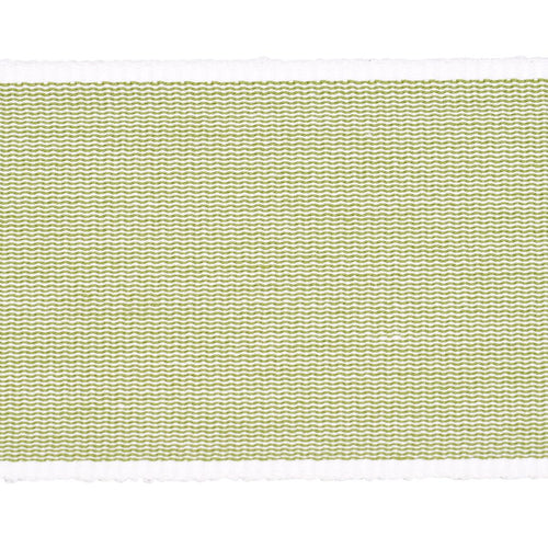 Schumacher Sandpiper Tape Wide Trim 79384 / Green