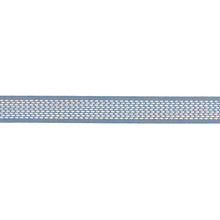 Load image into Gallery viewer, Schumacher Portola Tape Indoor/Outdoor Trim 79428 / Sky
