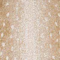 Load image into Gallery viewer, Schumacher Axis Velvet Fabric 79500 / Fawn