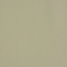 Load image into Gallery viewer, Schumacher Vegan Leather Indoor/Outdoor Fabric  79553 / Dune