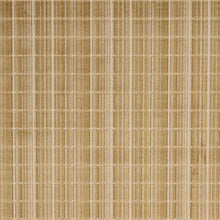 Load image into Gallery viewer, Corneille Velvet