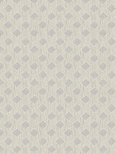 Load image into Gallery viewer, 118” Wide Semi Sheer Milky White Beige Taupe Geometric Drapery Fabric FB