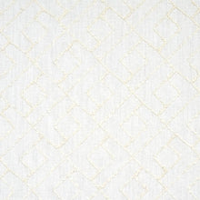 Load image into Gallery viewer, Schumacher Durant Embroidery Fabric 80131 / Ivory