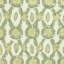 Load image into Gallery viewer, Brunschwig &amp; Fils Galon Print Fabric / Leaf