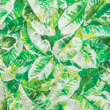 Load image into Gallery viewer, Brunschwig &amp; Fils Diani Print Fabric / Leaf