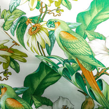 Load image into Gallery viewer, Brunschwig &amp; Fils Anima Print Fabric / Leaf