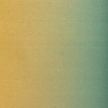 Load image into Gallery viewer, Brunschwig &amp; Fils Mirage Stripe Fabric / Multi