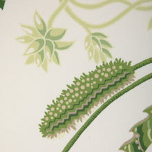 Load image into Gallery viewer, Brunschwig &amp; Fils Vernay Print Fabric / Green