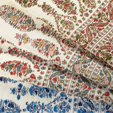 Load image into Gallery viewer, Brunschwig &amp; Fils Visan Print Fabric / Sky/Coral
