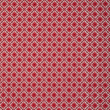 Load image into Gallery viewer, Brunschwig &amp; Fils Ines Emb Fabric / Red