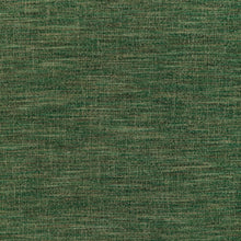 Load image into Gallery viewer, Brunschwig &amp; Fils Combes Texture Fabric / Forest
