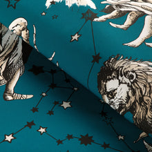 Load image into Gallery viewer, Brunschwig &amp; Fils Cosmique Print Fabric / Teal