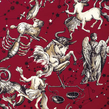 Load image into Gallery viewer, Brunschwig &amp; Fils Cosmique Print Fabric / Ruby