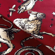 Load image into Gallery viewer, Brunschwig &amp; Fils Cosmique Print Fabric / Ruby