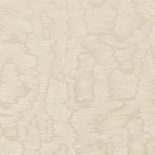 Load image into Gallery viewer, Brunschwig &amp; Fils Lyon Weave Fabric / Cream