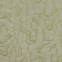 Load image into Gallery viewer, Brunschwig &amp; Fils Lyon Weave Fabric / Leaf