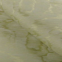 Load image into Gallery viewer, Brunschwig &amp; Fils Lyon Weave Fabric / Leaf