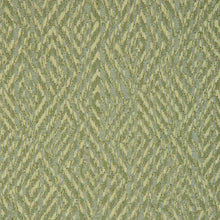 Load image into Gallery viewer, Brunschwig &amp; Fils  Pipet Texture  Fabric / Leaf