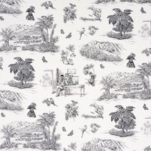 Load image into Gallery viewer, Pair of Custom Made Schumacher Toussaint Toile Pillow Covers - Both Sides