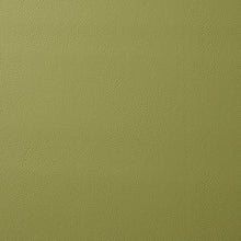 Load image into Gallery viewer, Schumacher Vegan Leather Indoor/Outdoor Fabric  80907 / Moss