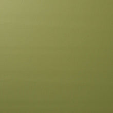 Load image into Gallery viewer, Schumacher Vegan Leather Indoor/Outdoor Fabric  80907 / Moss