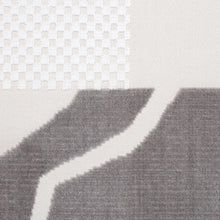 Load image into Gallery viewer, Schumacher Gustavian Dance Velvet Fabric 81801 / Grey