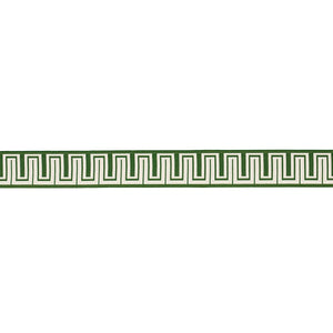 Schumacher Zeus Indoor/Outdoor Tape Trim 82441 / Green