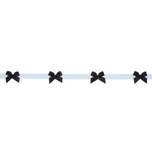 Schumacher Claudia Tape Trim 82470 / Black On Sky
