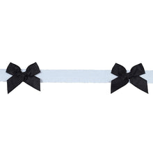 Load image into Gallery viewer, Schumacher Claudia Tape Trim 82470 / Black On Sky
