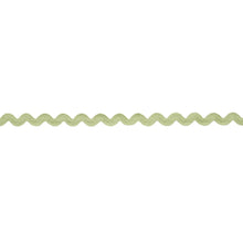 Load image into Gallery viewer, Ric Rac Tape Medium