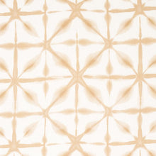 Load image into Gallery viewer, Pair of Custom Made Schumacher Andromeda Linen Pillow Covers - Both Sides