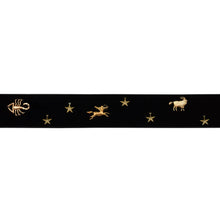 Load image into Gallery viewer, Schumacher Carmen Velvet Tape Trim 82870 / Black