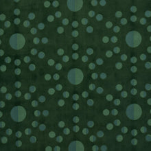 Load image into Gallery viewer, Schumacher Moon Phase Velvet Fabric 83190 / Green