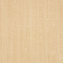 Load image into Gallery viewer, Schumacher Beau Cotton Linen Moiré Fabric 83252 / Soft Gold