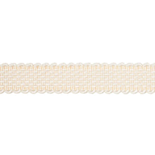 Load image into Gallery viewer, Schumacher Frances Silk Gimp Trim 83360 / Ivory