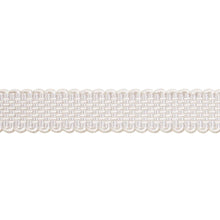 Load image into Gallery viewer, Schumacher Frances Silk Gimp Trim 83361 / Grey
