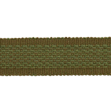 Load image into Gallery viewer, Schumacher Cardiff Tape Medium Trim 83393 / Green
