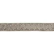 Load image into Gallery viewer, Schumacher Delphi Beaded Tape Trim  83640 / Mercury On Natural