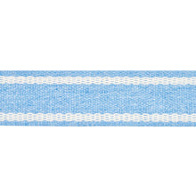Load image into Gallery viewer, Schumacher Sullivan Tape Narrow Indoor/Outdoor Trim 83670 / Blue