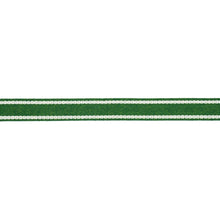Load image into Gallery viewer, Schumacher Sullivan Tape Narrow Indoor/Outdoor Trim 83672 / Green
