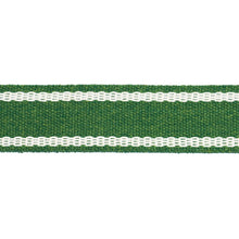 Load image into Gallery viewer, Schumacher Sullivan Tape Narrow Indoor/Outdoor Trim 83672 / Green