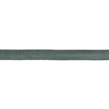 Load image into Gallery viewer, Schumacher Medium Faille Tape Trim 83860 / Patina