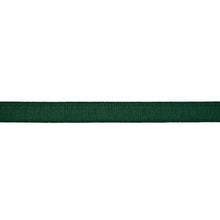 Load image into Gallery viewer, Schumacher Medium Faille Tape Trim 83861 / Emerald