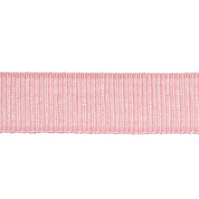 Load image into Gallery viewer, Schumacher Medium Faille Tape Trim 83863 / Blush