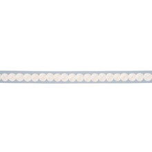 Load image into Gallery viewer, Schumacher Castille Tape Narrow Trim 83880 / Sky
