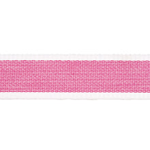 Load image into Gallery viewer, Schumacher Sandpiper Tape Narrow Trim 83892 / Pink