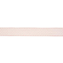 Load image into Gallery viewer, Schumacher Berkeley Tape Wide Trim 83910 / Blush